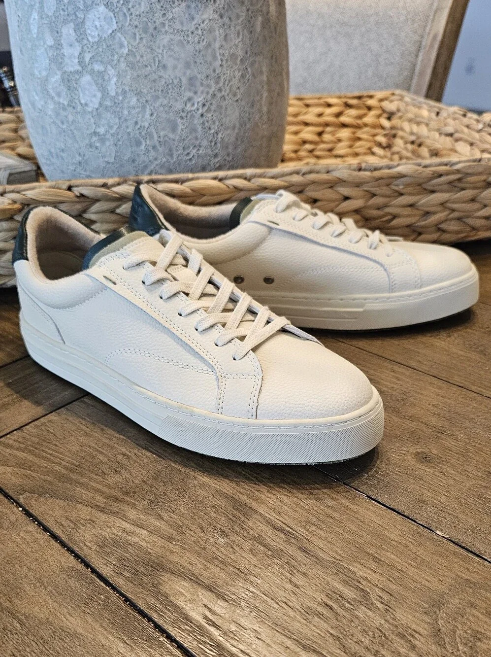 Steve Madden Cream Dark Green Leather Sneaker Shoes - Men's Sz 8 NWOB